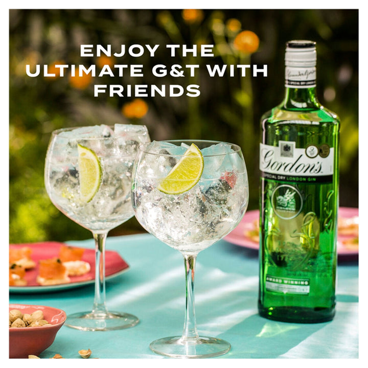 Gordon's Special London Dry Gin 1L