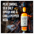 Talisker 10 Year Old Single Malt Scotch Whisky 70cl - Whisky - Discount My Drinks