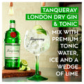 Tanqueray London Dry Gin 70cl - Gin - Discount My Drinks