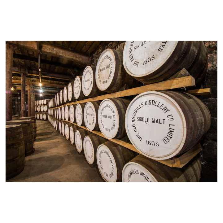 Bushmills Single Malt Irish Whiskey Aged 10 years 70cl
